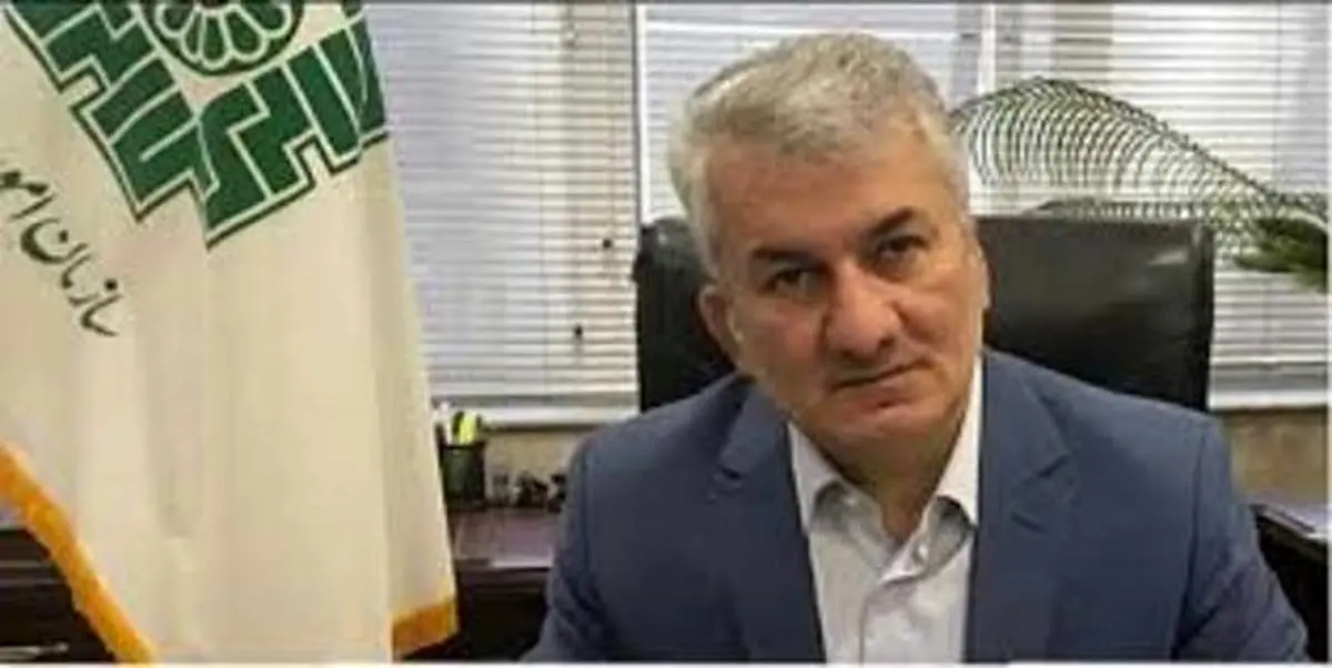 سازمان امور مالیاتی: ۲۴ هزار فرد فوت شده ۶۷ هزار کارتخوان فعال دارند