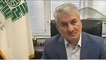 سازمان امور مالیاتی: ۲۴ هزار فرد فوت شده ۶۷ هزار کارتخوان فعال دارند