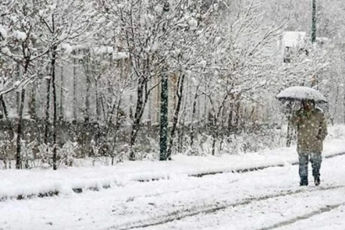 هواشناسی ایران ۹۹/۱۰/۴| بارش برف و باران در ۲۹ استان کشور