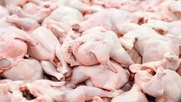 قیمت هر کیلو مرغ ۲۱ هزار تومان شد