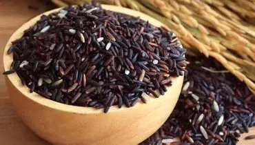 از جلوگیری از پیری تا تنظیم قند خون؛ خواص شگفت انگیز برنج سیاه