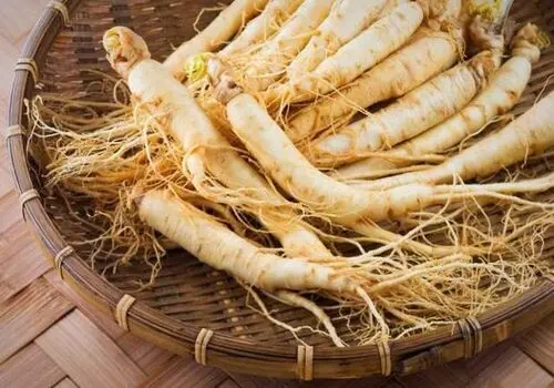 جینسینگ؛ ریشه‌ای کوچک با قدرتی بزرگ


