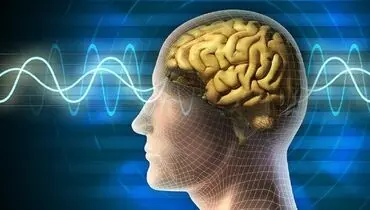 بلایی که کرونا بر سر مغز انسان می‌آورد