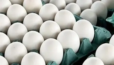 قیمت مصوب هرشانه تخم مرغ ۳۰ تا ۳۲ هزار تومان تعیین شد+سند