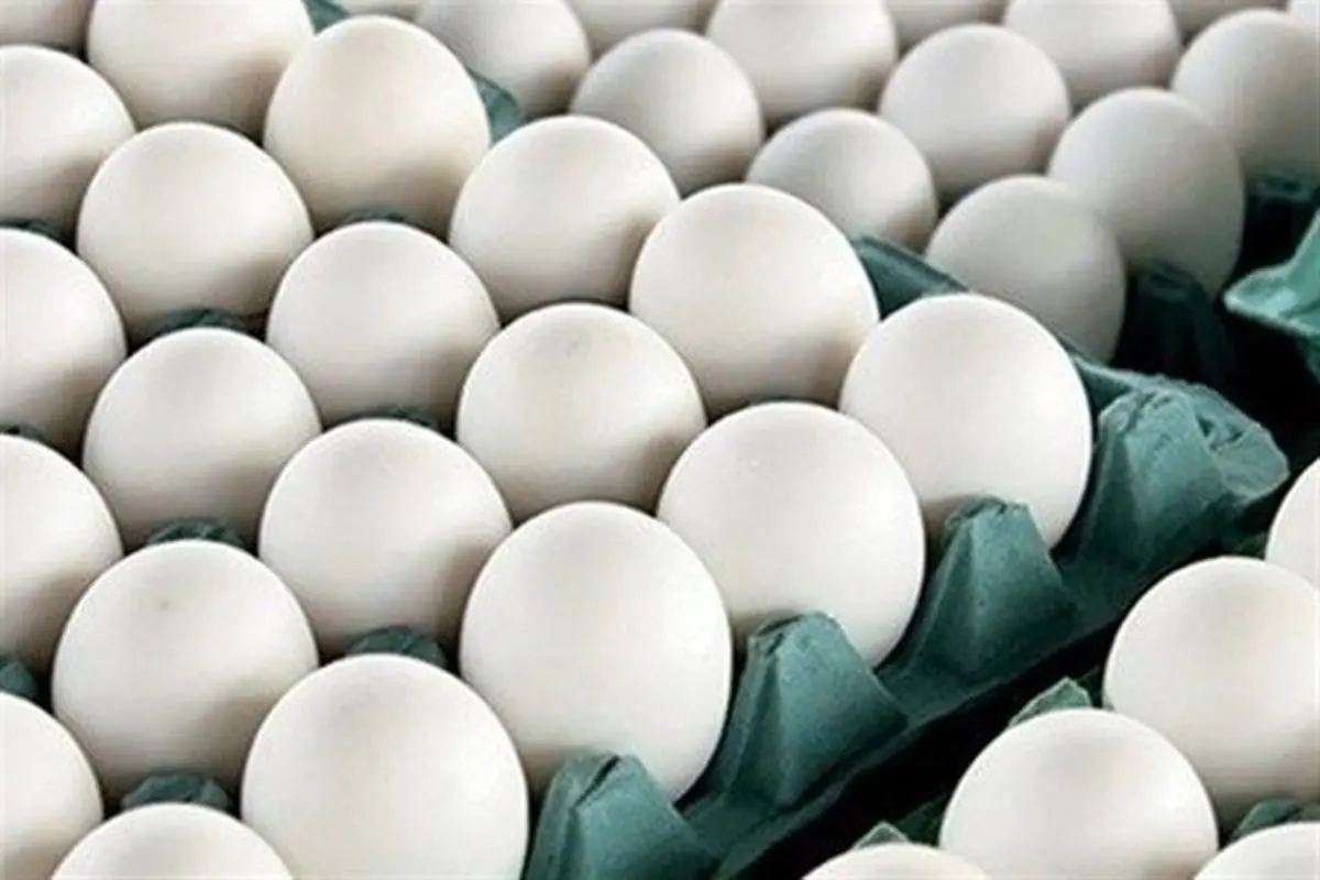قیمت مصوب هرشانه تخم مرغ ۳۰ تا ۳۲ هزار تومان تعیین شد+سند