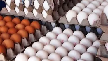 هرشانه تخم مرغ ۴۵ تا ۴۷هزار تومان!