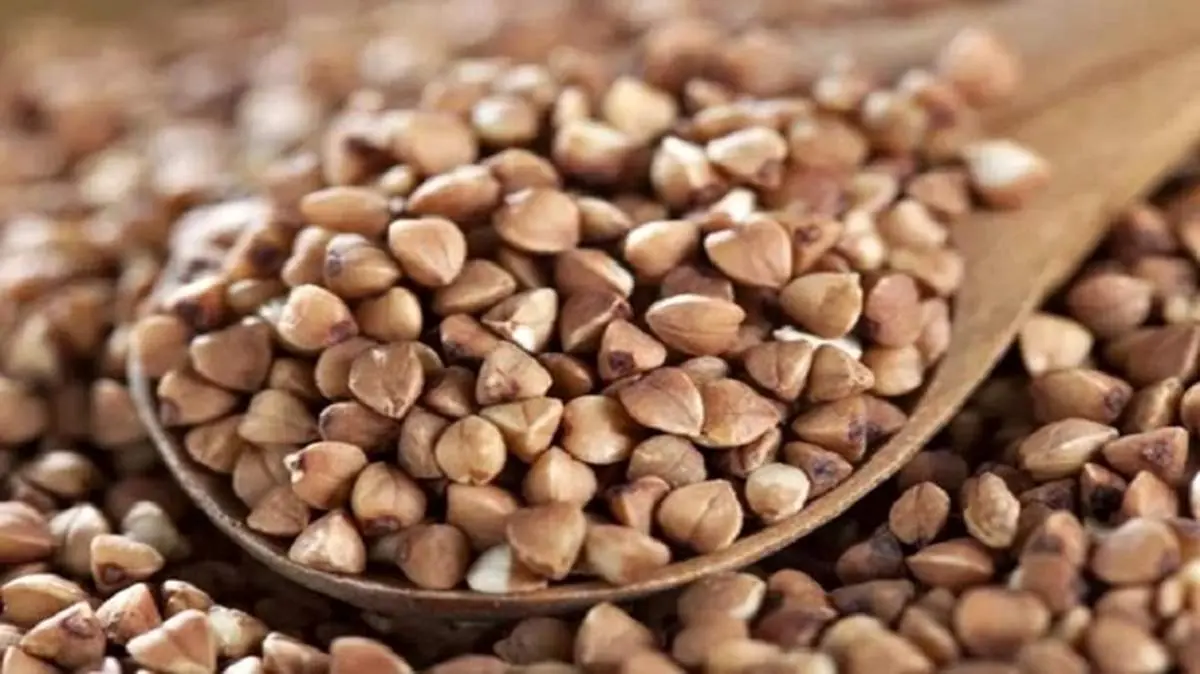 آشنایی با خواص گندم سیاه