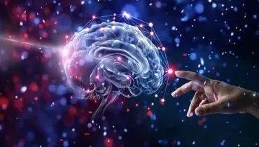 سیستم‌های عصبی مغز چگونه در شبکه‌های اجتماعی درگیر می‌شوند؟