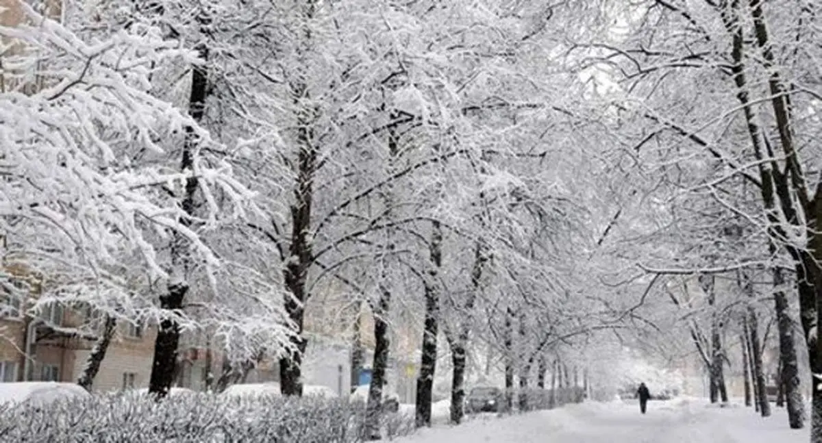 آغاز بارش برف و باران در کشور از چهارشنبه ۲۴ دی ۹۹