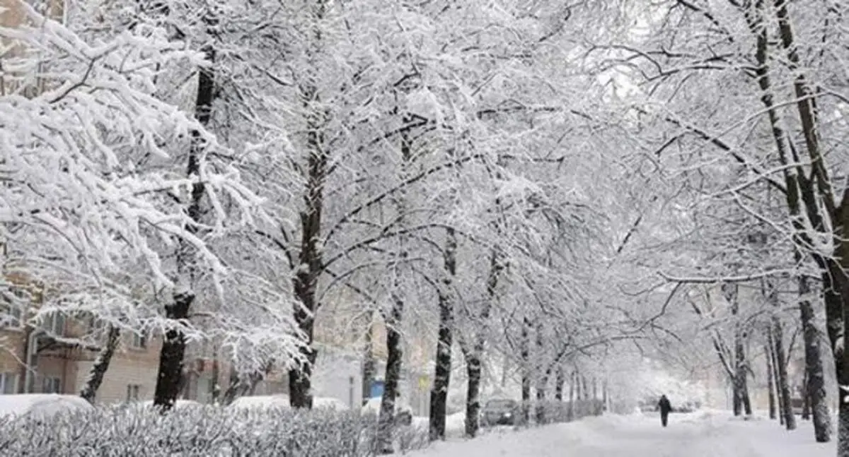 آغاز بارش برف و باران در کشور از چهارشنبه ۲۴ دی ۹۹