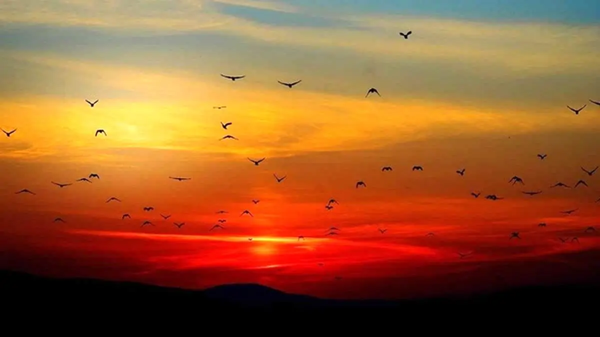 چرا هنگام غروب خورشید آسمان قرمز می‌شود؟