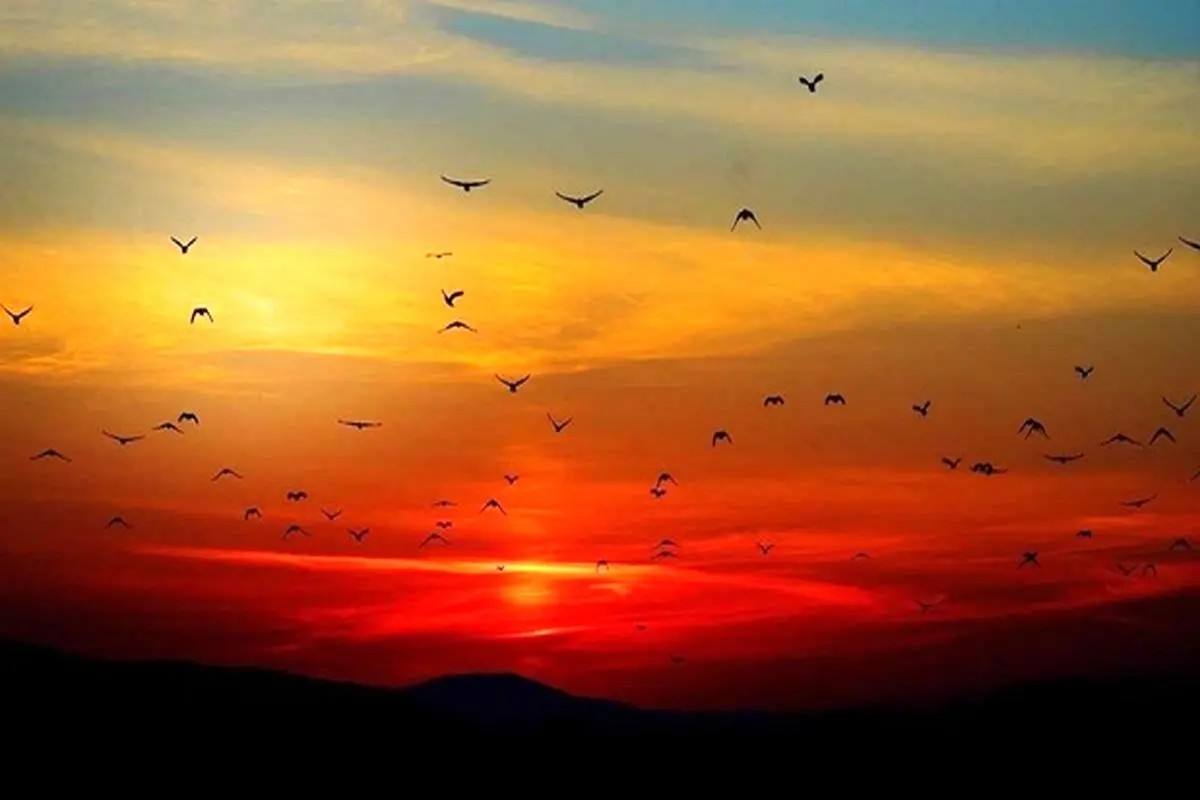 چرا هنگام غروب خورشید آسمان قرمز میشود؟