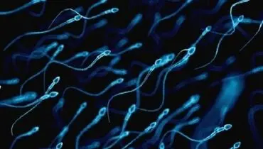 ارتباط نشانگرهای موجود در اسپرم پدر با ابتلای نوزاد به اوتیسم