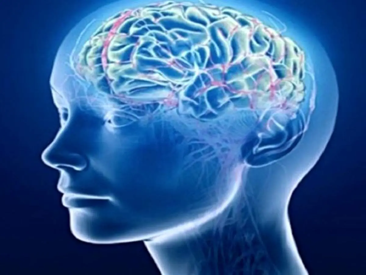 مغز چگونه از خواب بیدار میشود؟