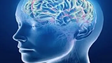 مغز چگونه از خواب بیدار می‌شود؟