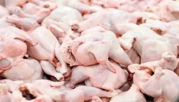 قیمت مرغ روی کانال ۲۱ هزار تومان