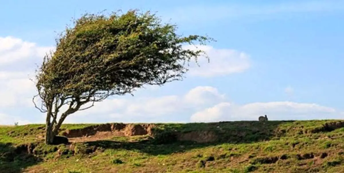 تندباد شدید اردبیل را درنوردید