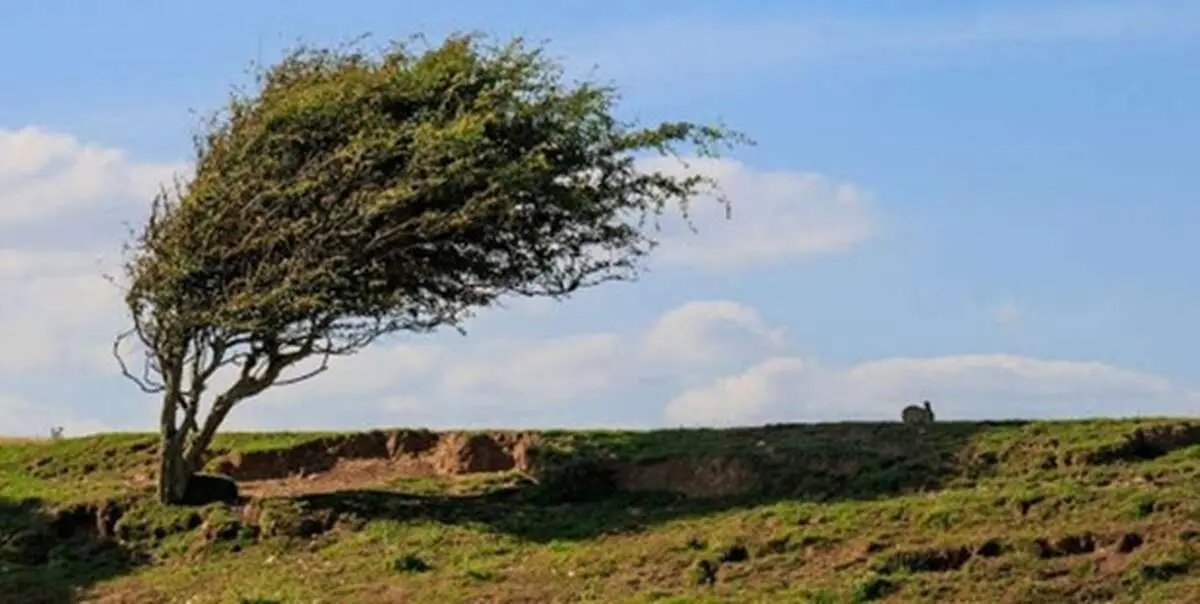 تندباد شدید اردبیل را درنوردید