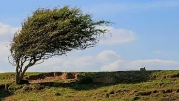 تندباد شدید اردبیل را درنوردید