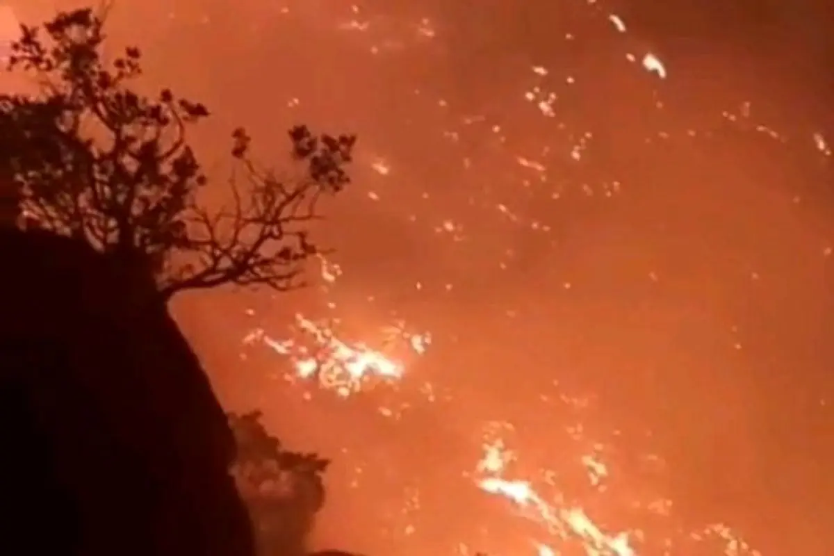 وقوع ۳۰ فقره آتش سوزی در جنگل های مازندران