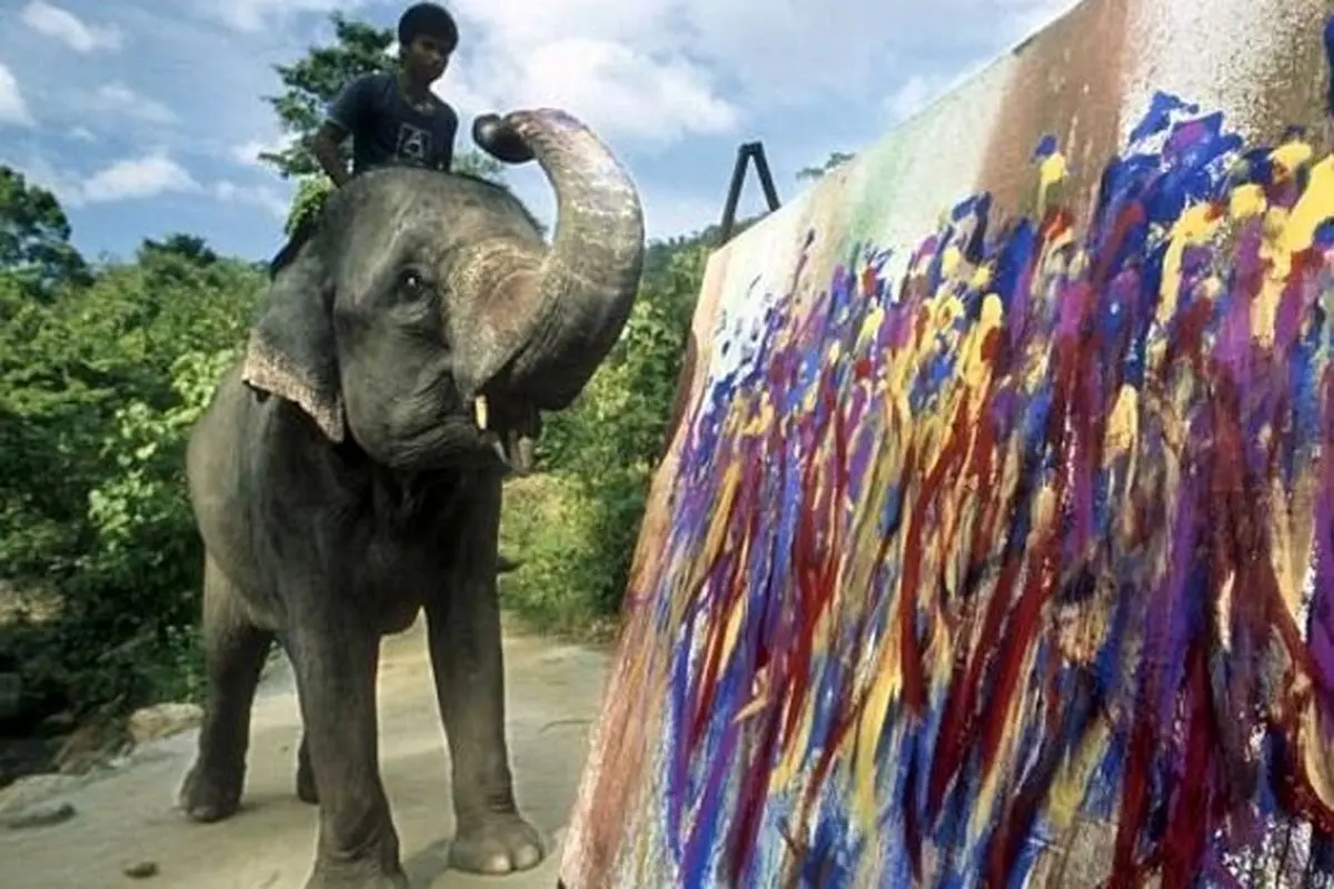 فیل‌هایی که نقاشی می‌کشند