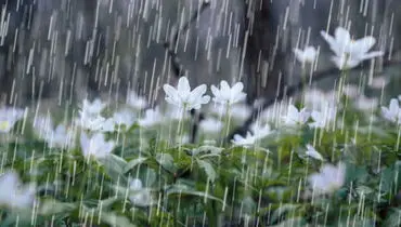 هشدار هواشناسی به بارش برف و باران، وزش باد شدید و کاهش شدید دما در کشور