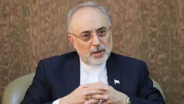 صالحی: بی‌اعتمادی ما به آمریکا براساس واقعیت‌هاست