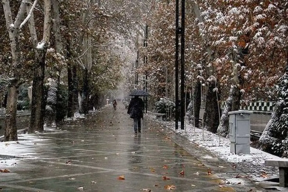 هواشناسی ایران ۹۹/۱۰/۲۹|بارش برف و باران در ۸ استان تا جمعه