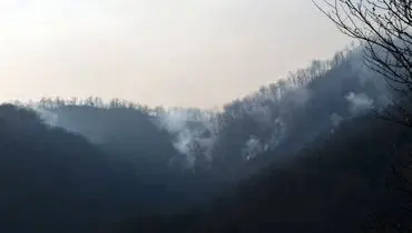 آتش سوزی جنگلی در رامسر مهار شد