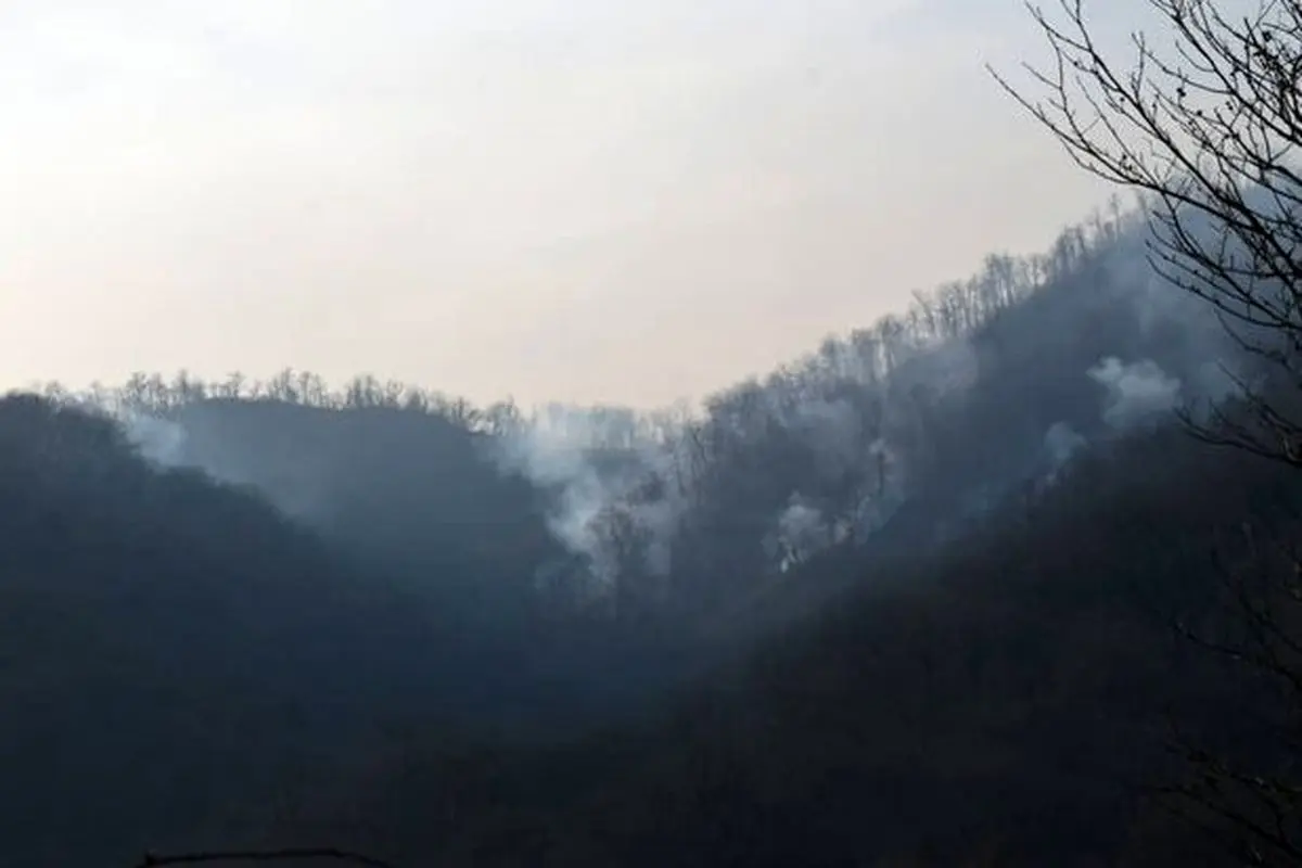 آتش سوزی جنگلی در رامسر مهار شد