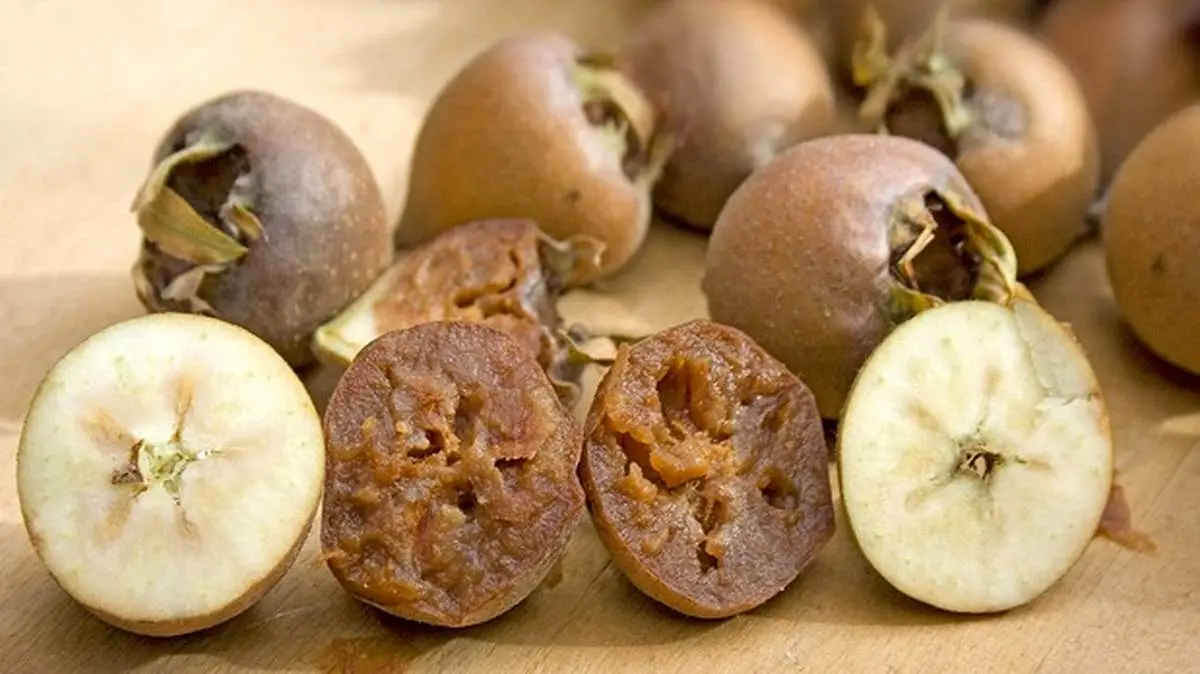 خواص بی نظیر ازگیل برای مقابله با کم خونی و آلزایمر