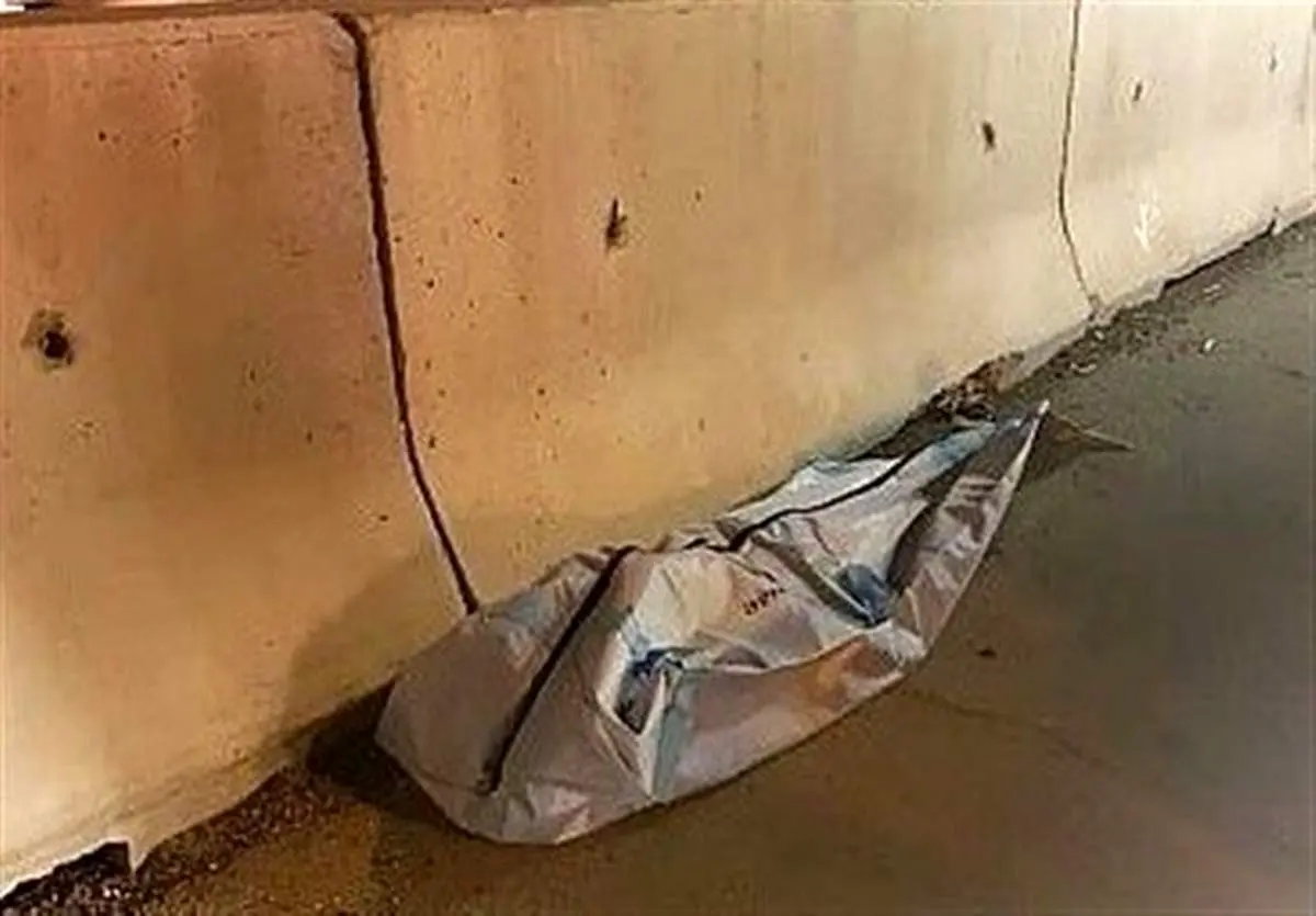 ۳ کشته بر اثر برخورد پژو ۴۰۵ با تیر چراغ برق