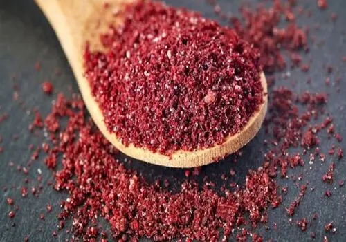 طرز تهیه کباب ترش کردی؛ یک غذای خوشمزه و اصیل