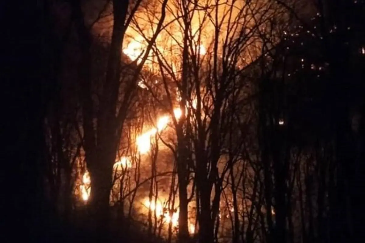 وقوع آتش سوزی شدید در جنگل های آقچای جمهوری آذربایجان