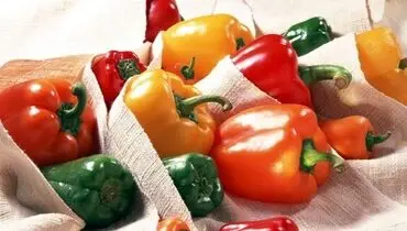 فلفل دلمه ای ‌های رنگی چه تفاوتی باهم دارند؟