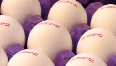 آغاز توزیع تخم‌مرغ با قیمت مصوب از امروز در تهران