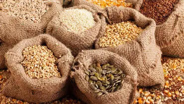مفیدترین دانه‌هایی که سلامت بدن را تضمین می‌کنند