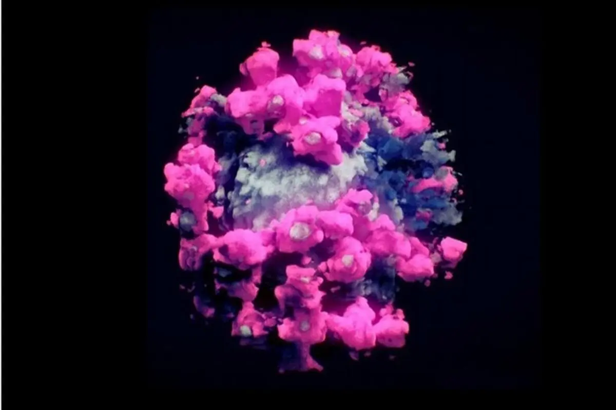 انتشار اولین تصویر سه بعدی واقعی از ویروس کرونا + فیلم