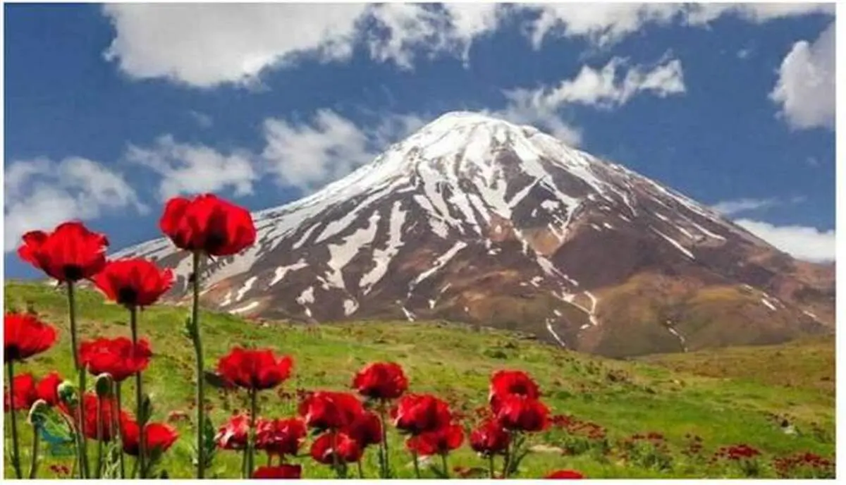 آشنایی با دشت لار+عکس