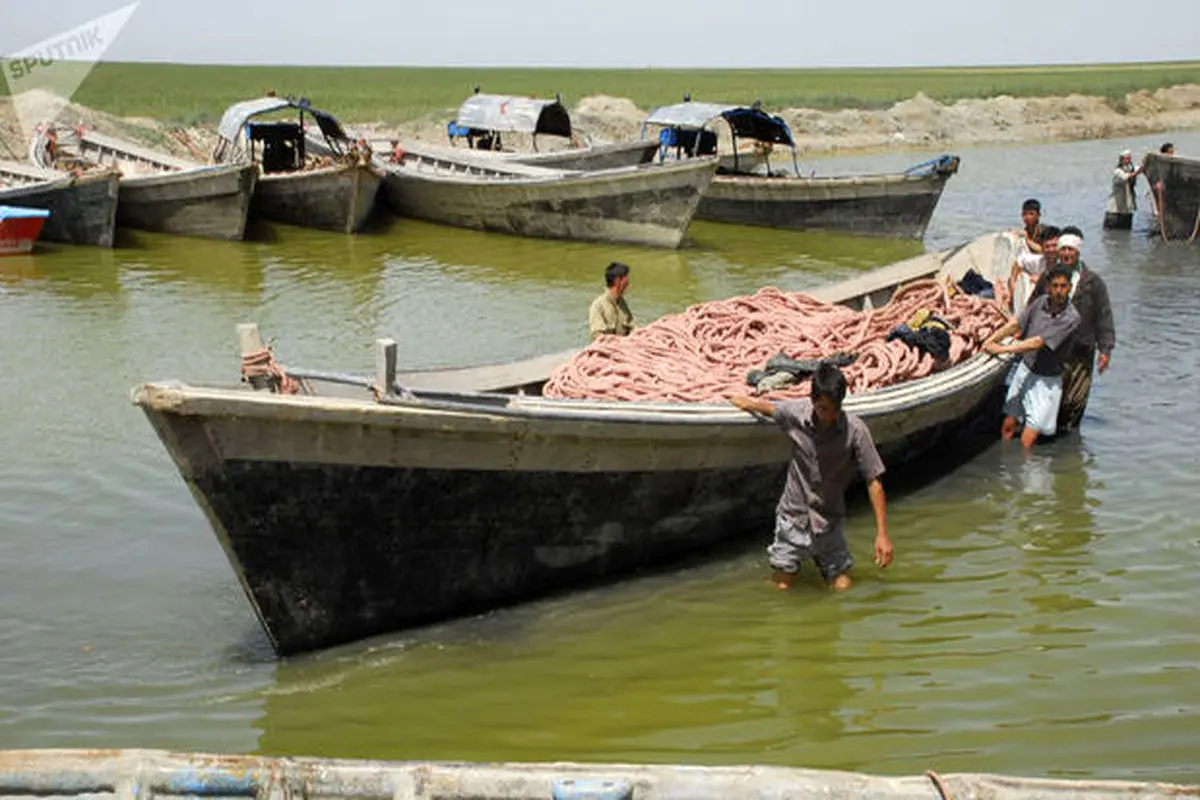 ماهیگیری و بسته بندی ماهی های خاویاری در استان گلستان