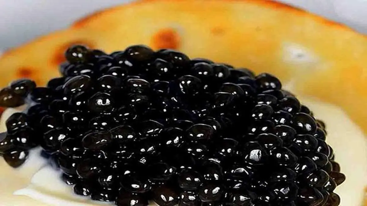 آشنایی با گران ترین خوراکی جهان + عکس