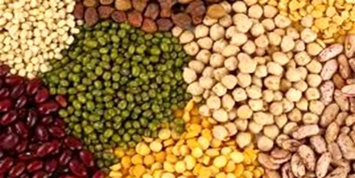 قیمت انواع حبوبات در میادین میوه و تره بار + جدول