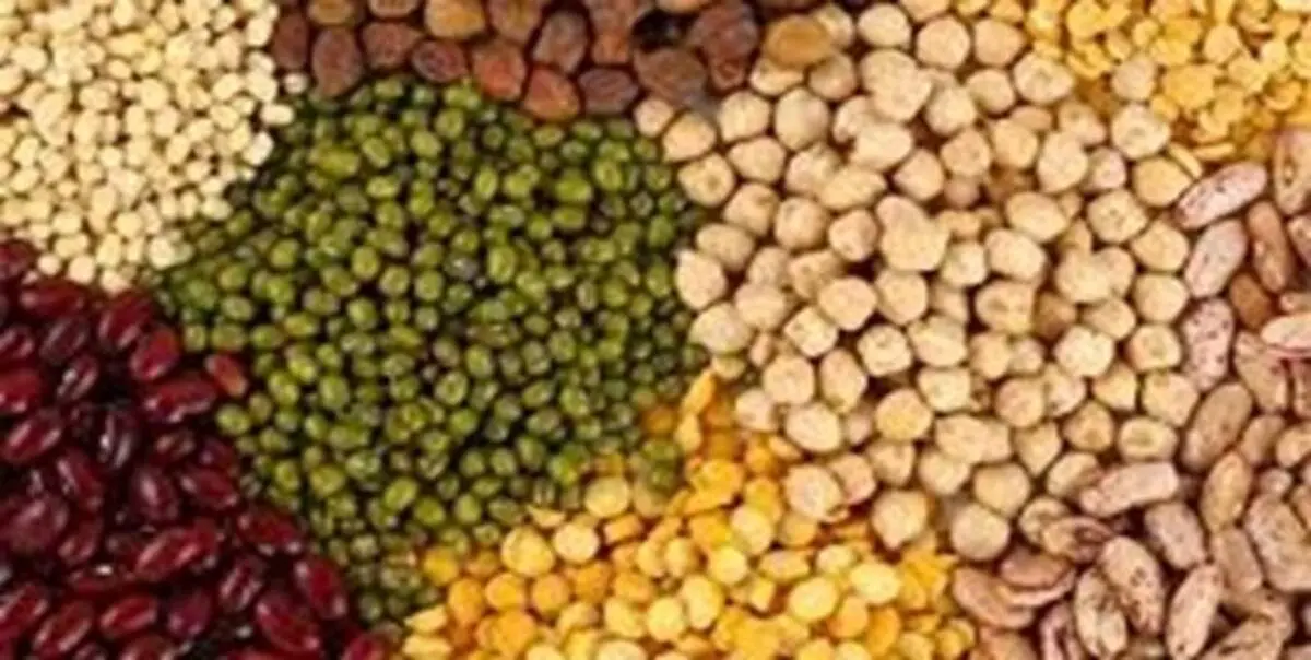 قیمت انواع حبوبات در میادین میوه و تره بار + جدول