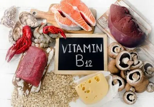 
 بهترین منابع گیاهی ویتامین B۱۲