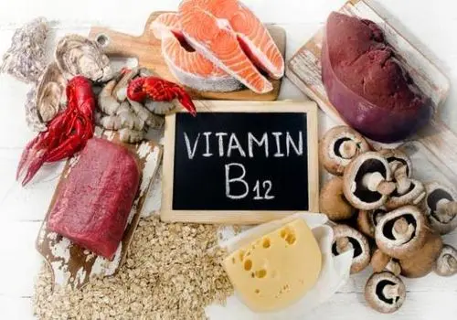 
 بهترین منابع گیاهی ویتامین B۱۲