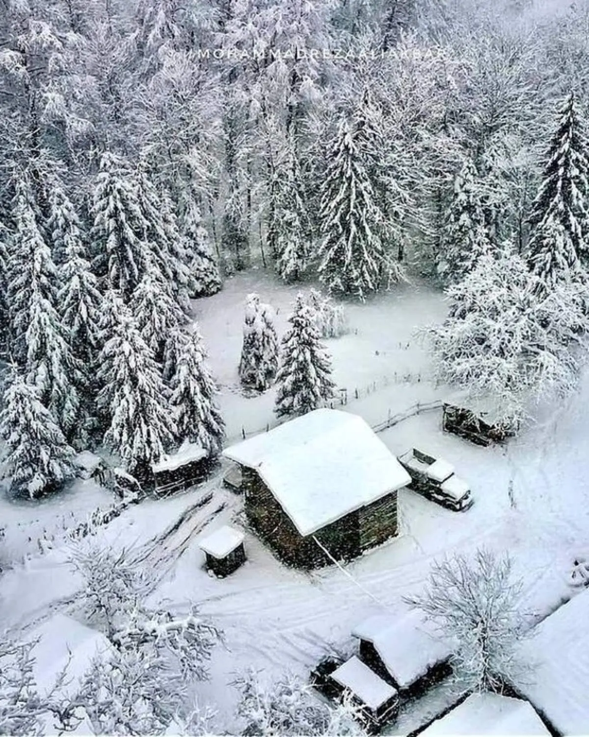 اینجا مازندران است+عکس