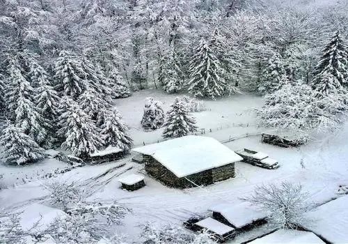  بارش برف سنگین در کجور مازندران + فیلم