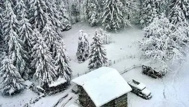 اینجا مازندران است+عکس