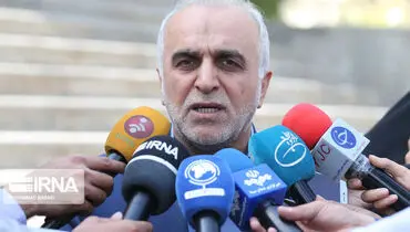 دژپسند: دولت پشت بازار سرمایه را خالی نکرده است