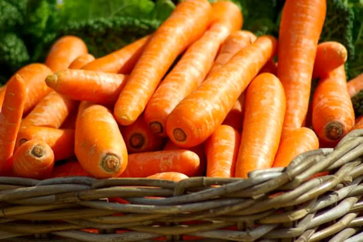 ۱۲ خاصیت مهم هویج برای بدن